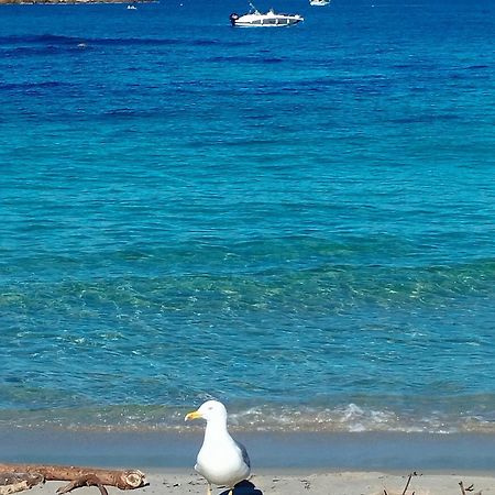 Studio 4P Vue Mer Calme Cap Esterel Saint-Raphaël 외부 사진