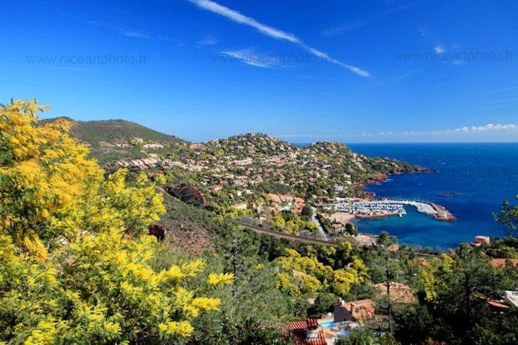 Studio 4P Vue Mer Calme Cap Esterel Saint-Raphaël 외부 사진