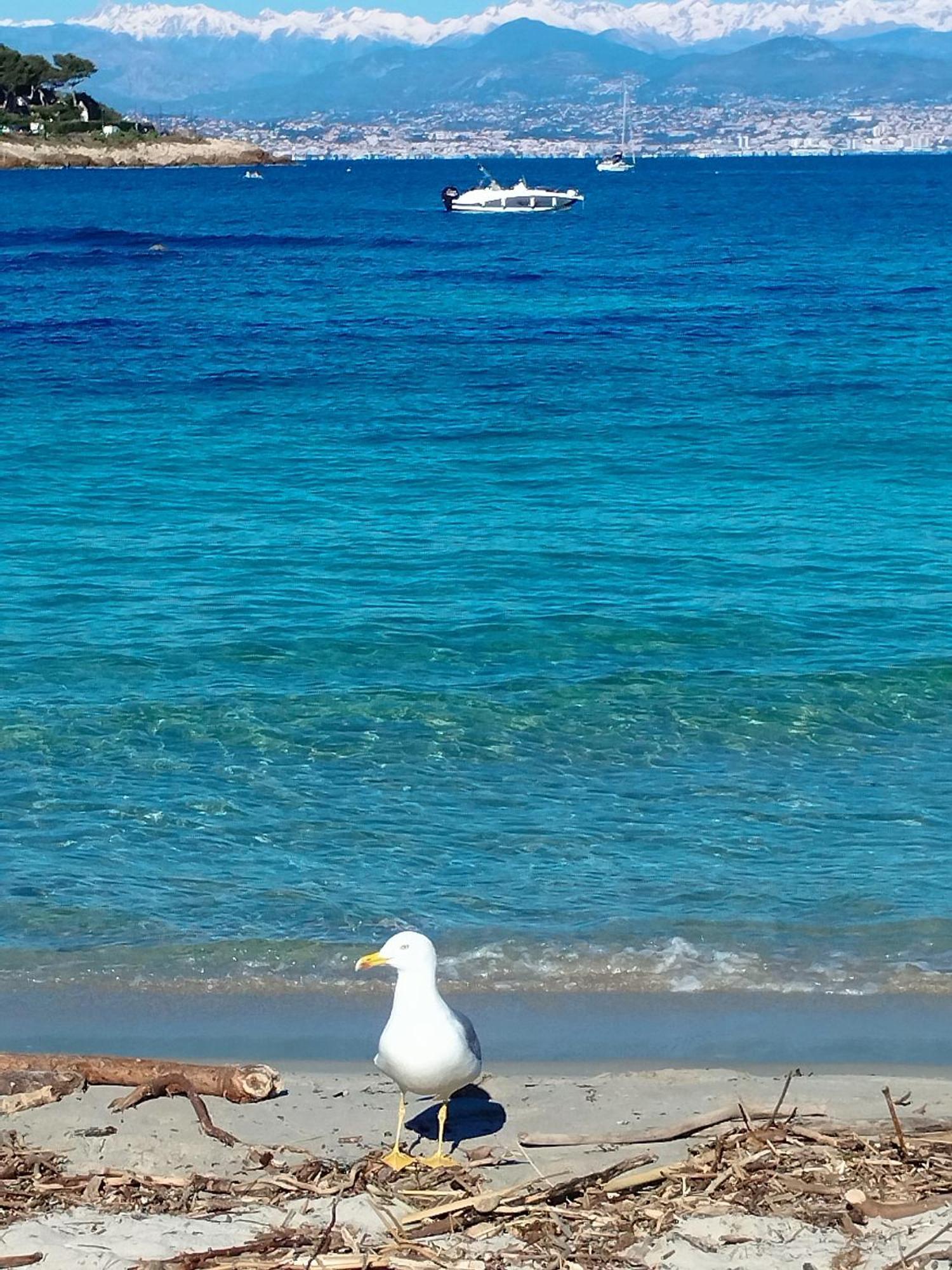 Studio 4P Vue Mer Calme Cap Esterel Saint-Raphaël 외부 사진